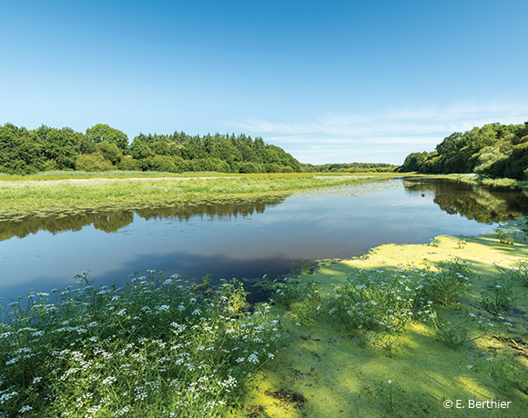 Lac au Duc et bassin-versant de l'Yvel-Hyvet