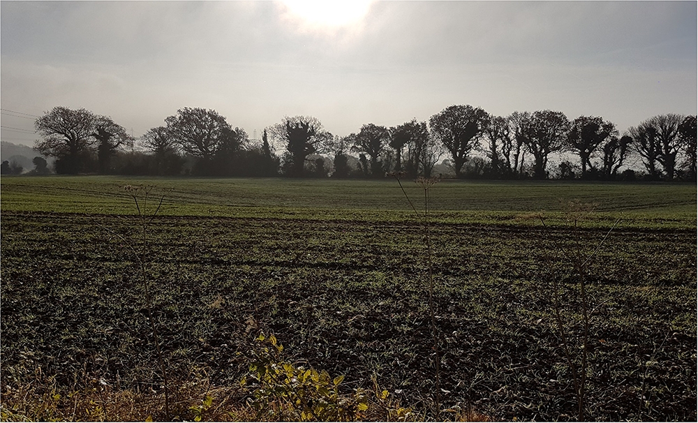 Karstic feature on a field