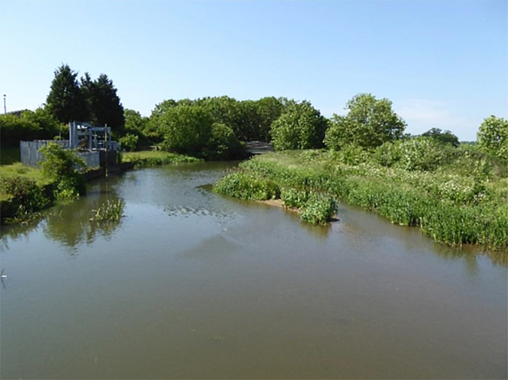 Hardham abstraction on River Rother