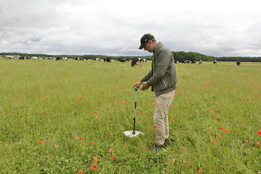 Mesure de la pousse de l'herbe à l'herbomètre dans une exploitation 