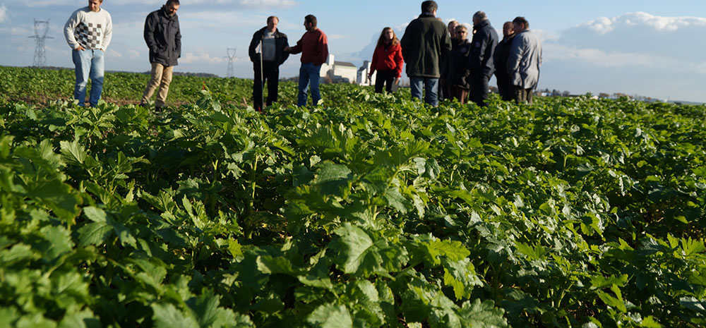 Formation des agriculteurs sur le terrain